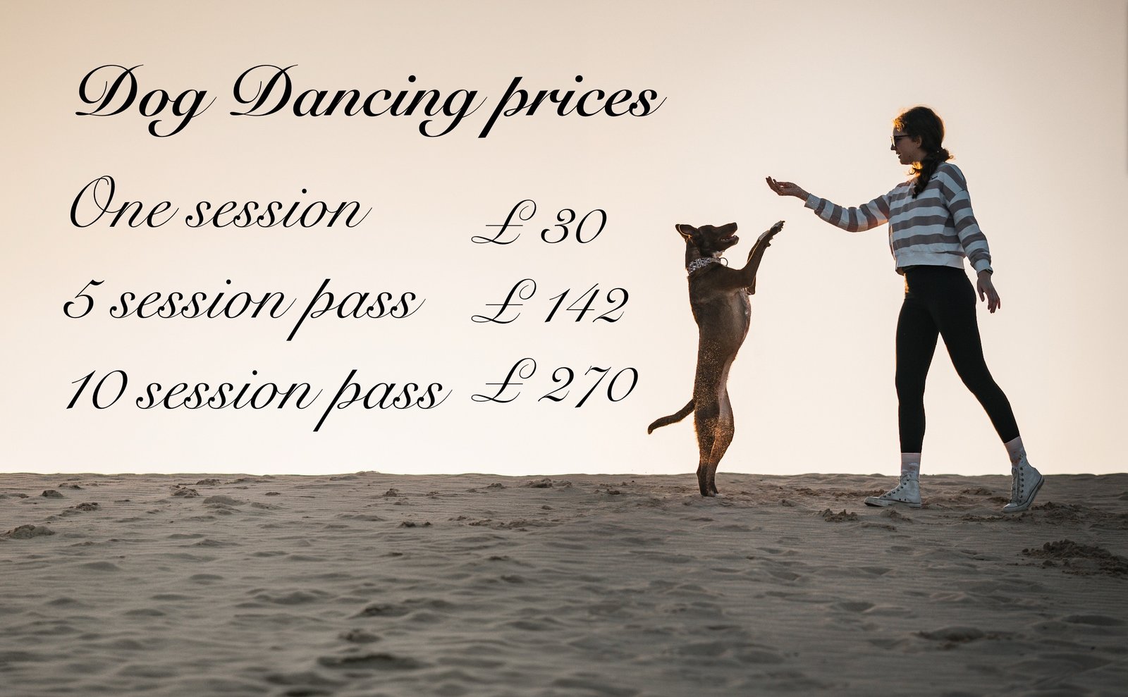 Dog Dancing price list